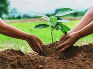 Unity, Peacebuilding & Nationhood